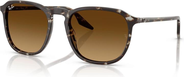 Actual product image Ray Ban RB2203