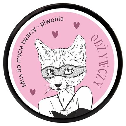 Immagine prodotto LaQ Mousse di lavaggio nutriente per il viso (Lozione detergente, 100 ml)