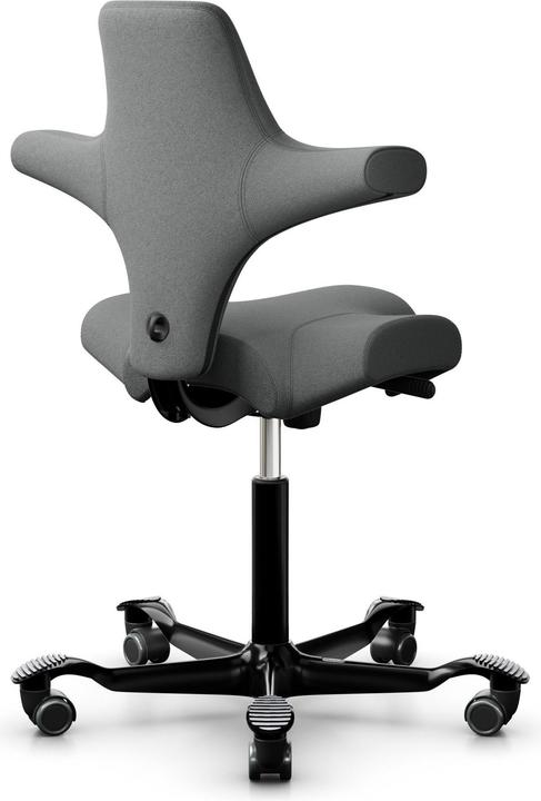 Image du produit HAG Capisco 8106-STD