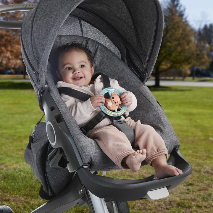 Produktbild Fisher-Price Spielzeugsammlung für Babys mit Tiermotiven, Beißring, Rassel und Klacker für Neugeborene