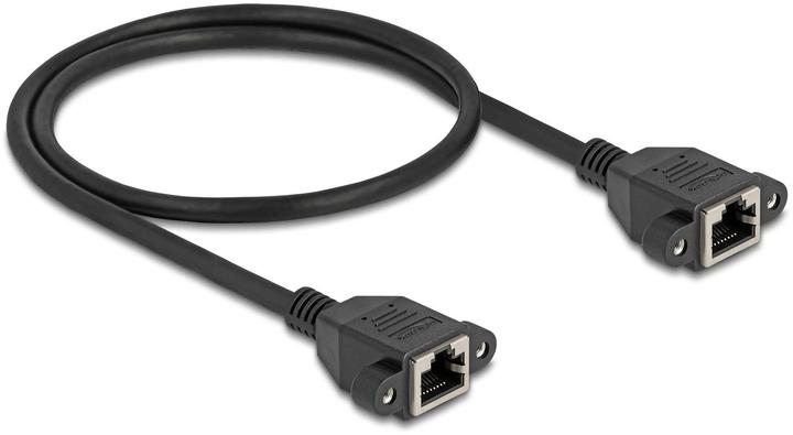 Image du produit Delock Netzwerk Verlängerungskabel S/FTP RJ45 Buchse zu RJ45 (S/FTP, CAT6a, 0.50 m)