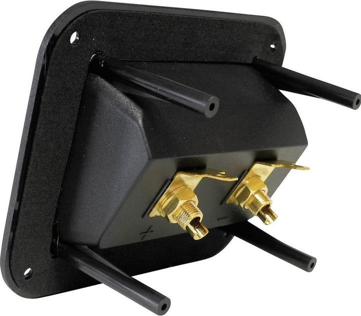 Actual product image No Name Speaker screw connection 204610 1 pc.