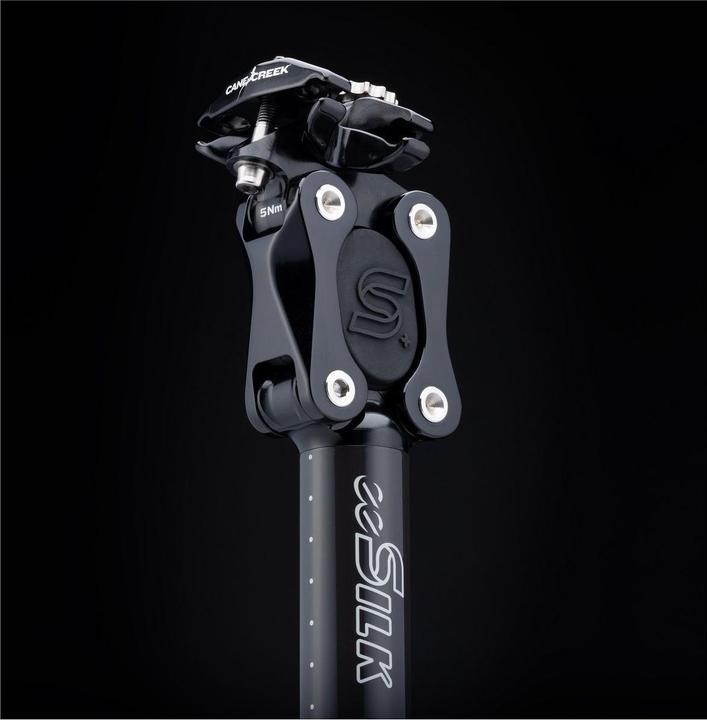 Actual product image Cane Creek eeSilk+ (27.20 mm)