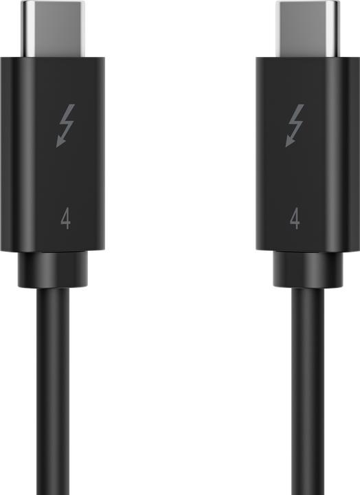 Actual product image HP 240W Thunderbolt 4 Cable (1 m, 240 W)