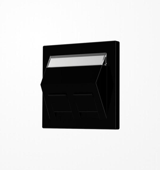 Actual product image JUNG Central plate Mod-Jack 2f LS sw glz LS569-30BFPLSW