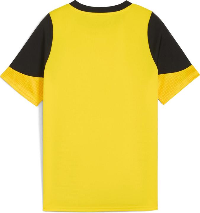 Actual product image Puma BVB Training Jersey Jr (152)