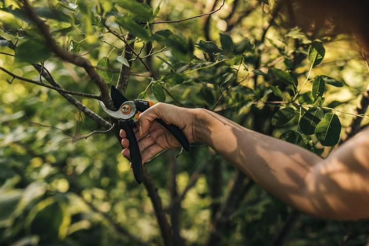 Actual product image Fiskars P321 SingleStep