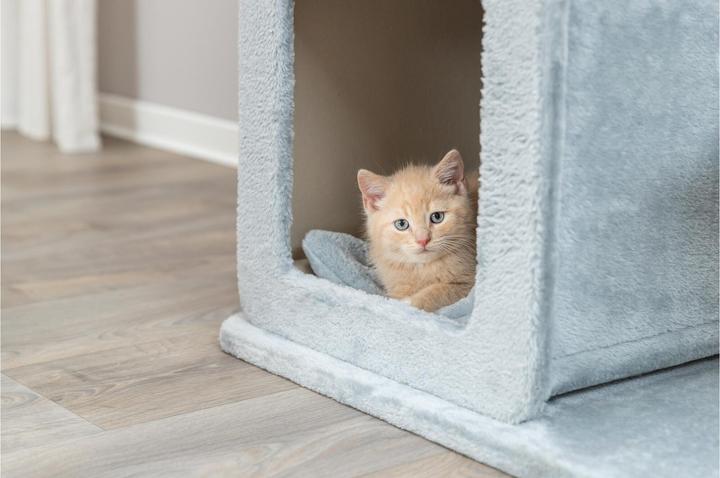Image du produit Trixie Arbre à chat Elena 83 cm (83 cm, Gris clair, Gris, Sauge, Beige)