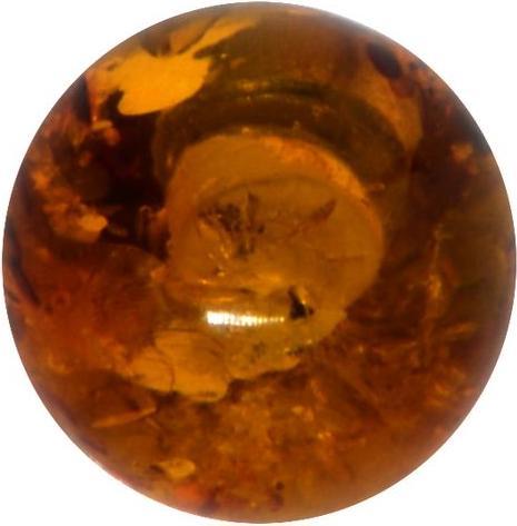 Image du produit Bijouteria Embout de piercing (Ambre)