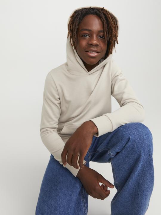 Image du produit Jack & Jones Sweat à capuche garçon (140)