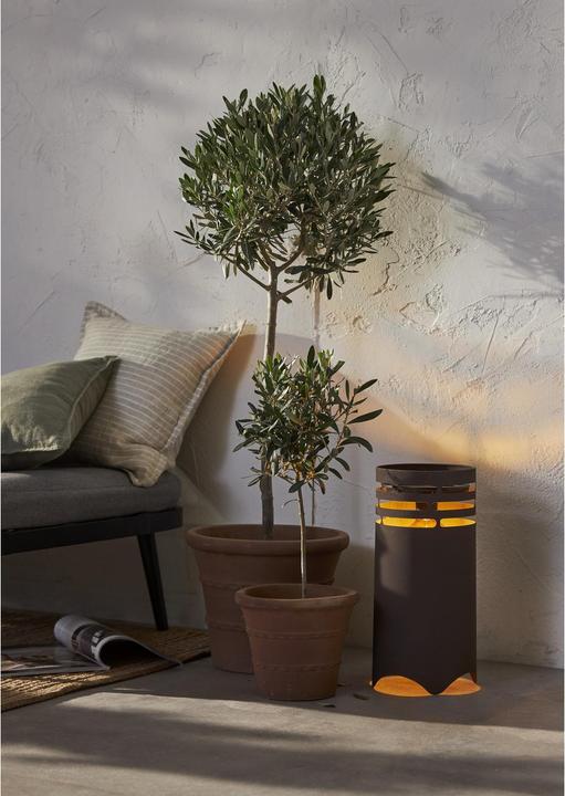 Actual product image Star Trading Solar decoration Marron (IP44)