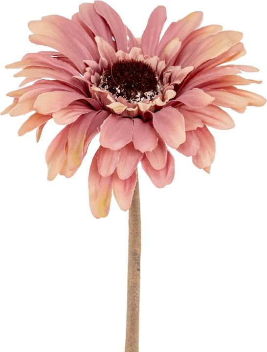 Immagine prodotto Hill Interiors Soffice Gerbera Gerbera Fiore Artificiale (53 cm)