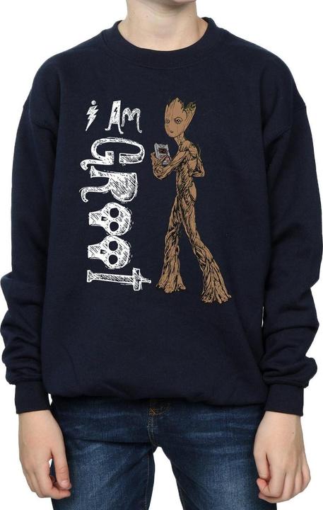 Produktbild Avengers Infinity War I Am Teenage Groot Sweatshirt Jungen (116)