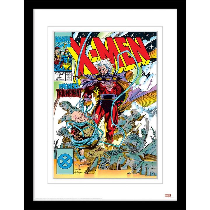 X-Man Aufgezogener Druck Gerahmt (30 x 40 cm)