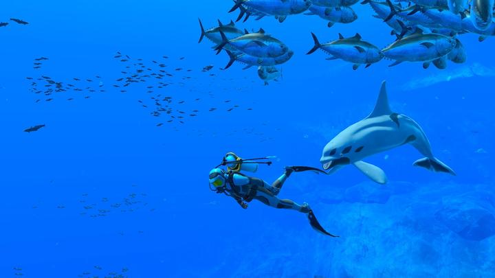 Produktbild Nintendo Endless Ocean Luminous (Switch, DE, FR, IT)