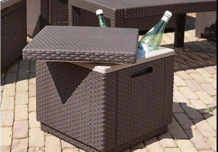 Actual product image Allibert Ice Cube (40 l)