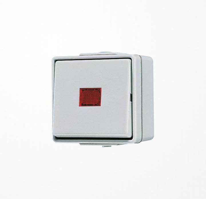 Actual product image JUNG Rocker control switch