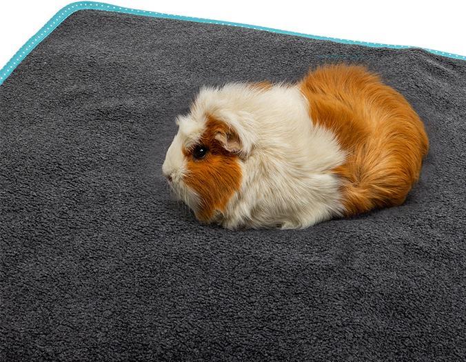 Image du produit Bunny Facile (0.35 kg, Copeaux)