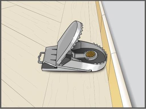 Productafbeelding Super Cat Rattenfalle SuperCat inkl. Köder 1er