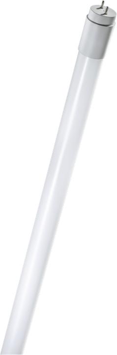 Leuchtmittel