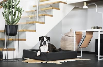 Produktbild Bia Hondenmand Original Zwart (Hund)