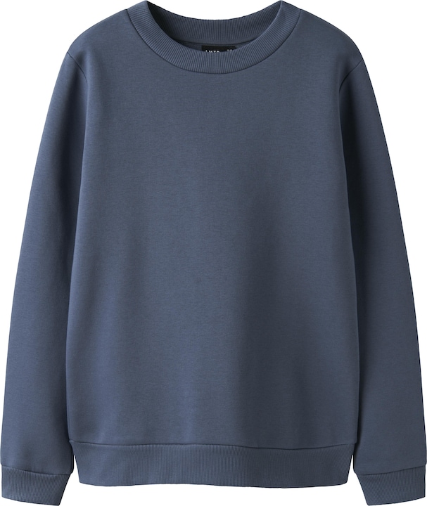 Lmtd Langarm Sweatshirt