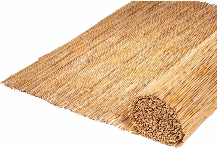 Actual product image Nature Rauert (100 cm)