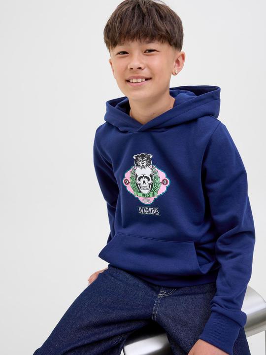 Produktbild Jack & Jones Jorskull Nature Sweat Hood Sn Jnr (164)