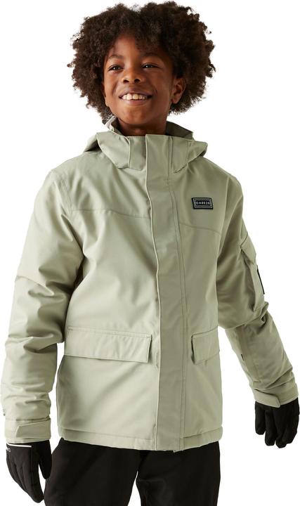 Produktbild Dare2b Shredder Skijacke (116)