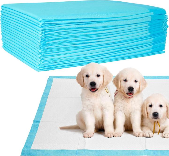 Ideoon Trainingspads 600 Stück für Hunde, Welpenunterlage, 5-lagig, auslaufsicher, 60 x 60 cm (Dog)