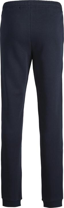 Actual product image Jack & Jones Jpstgordon Jjnewsoft Sweat Pant Noos Mni (104)