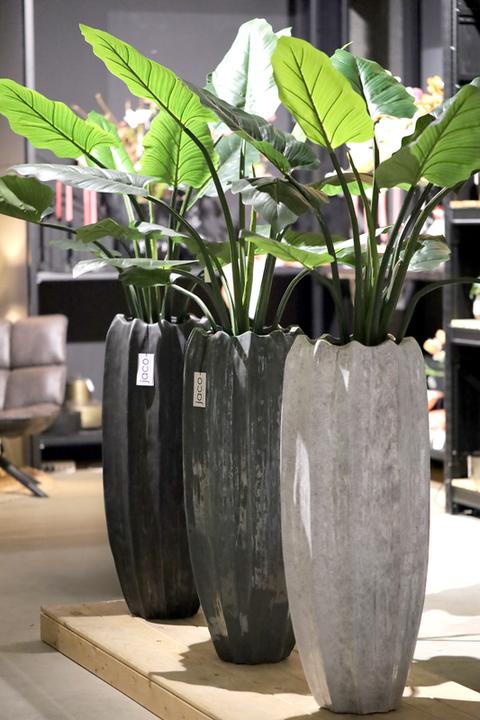 Actual product image Jaco Lite Glow Kibo mit Plastikeinsatz