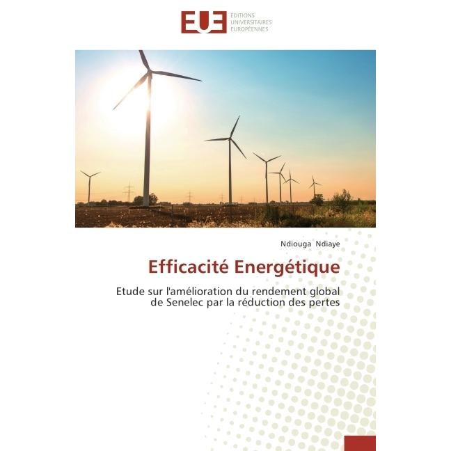 Efficacité Energétique, Fachbücher von Ndiouga Ndiaye
