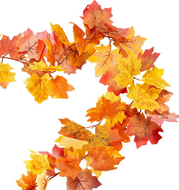 Image du produit IDIMEX Herbst (5 cm)