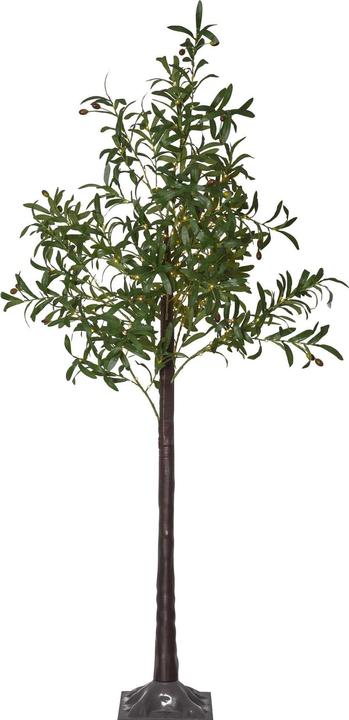 Image du produit Star Trading Arbre de décoration Olivec, 178 LED, 180 cm, vert (56 lm, IP44)