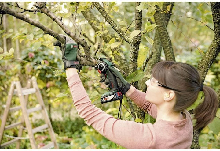 Image du produit Bosch Home & Garden AdvancedCut 18 (avec batterie) (Tronçonneuse à batterie)