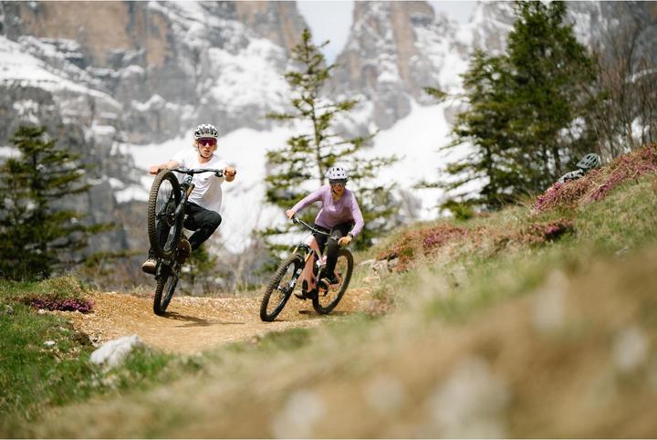 Produktbild Alpina Rootage 2 (55 - 59 cm)