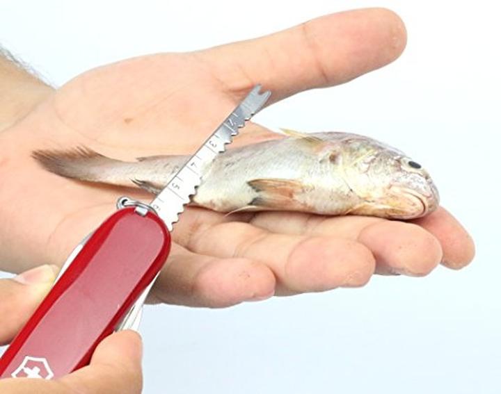 Immagine prodotto Victorinox SwissChamp