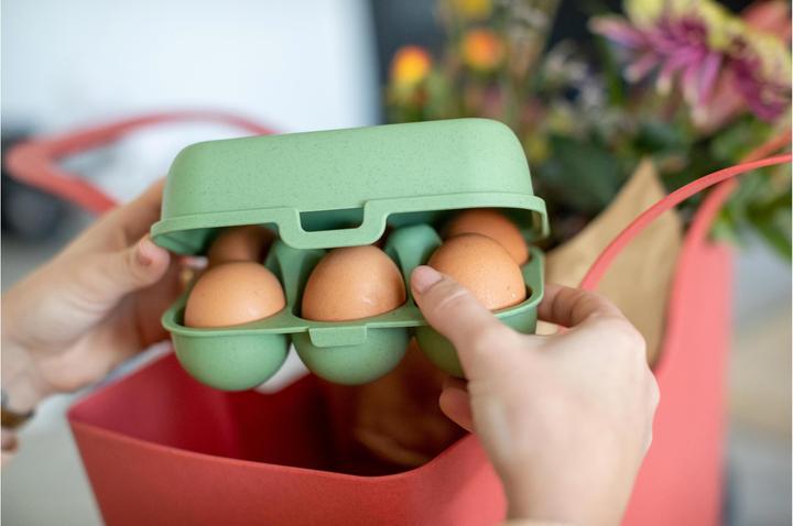 Actual product image Koziol Egg box (1.40 l)