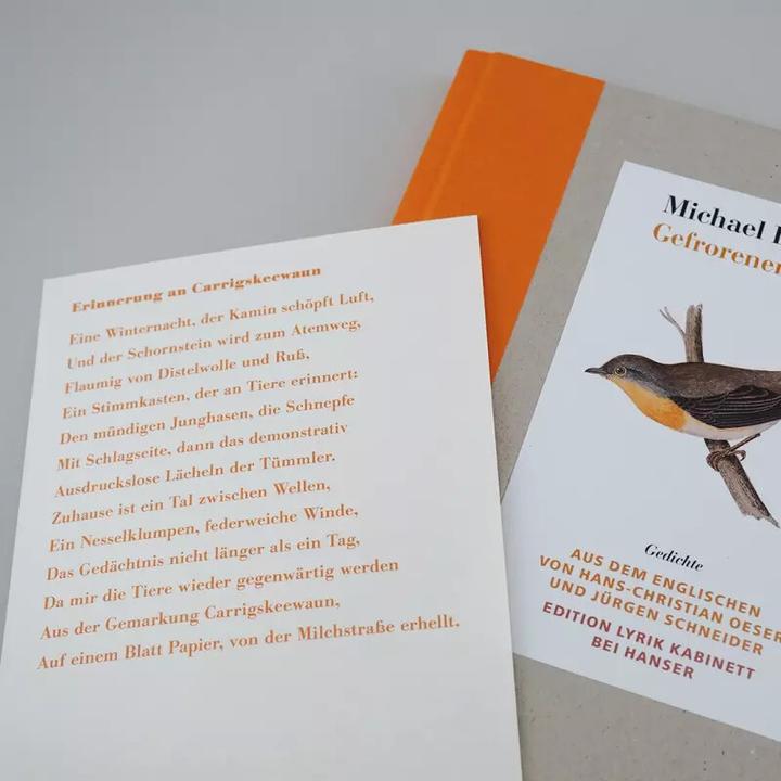 Produktbild Gefrorener Regen (Deutsch, Michael Krüger Longley, 2017)