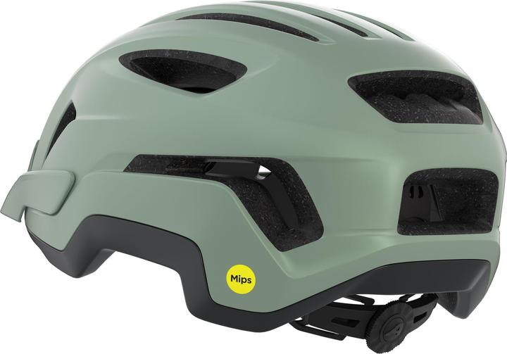 Image du produit ALPINA SPORTS Paranus Mips (59 - 61 cm)