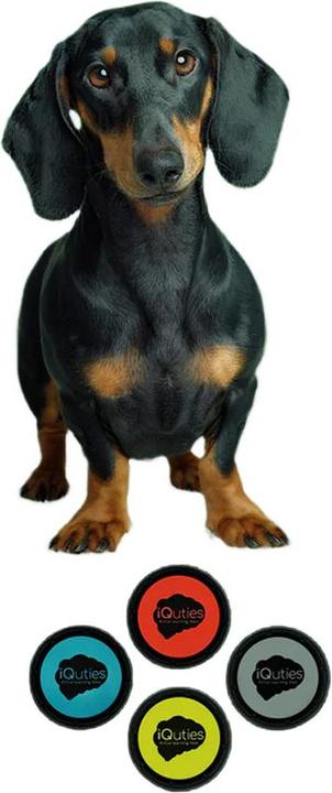 Produktbild IQuties Buzzer 4erPack