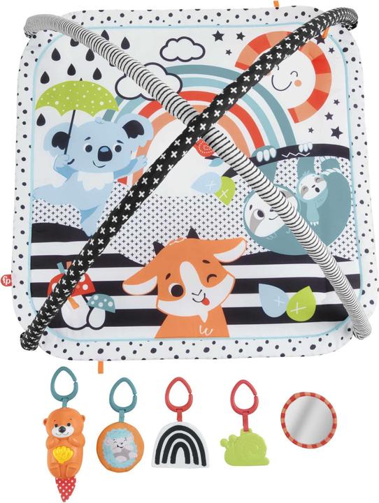 Actual product image Fisher-Price Animal Friends Contrast Play Blanket