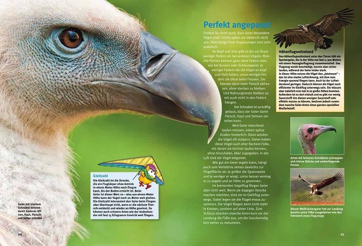 Image du produit Entdecke die Geier (Allemand, Henning Werth, 2022)