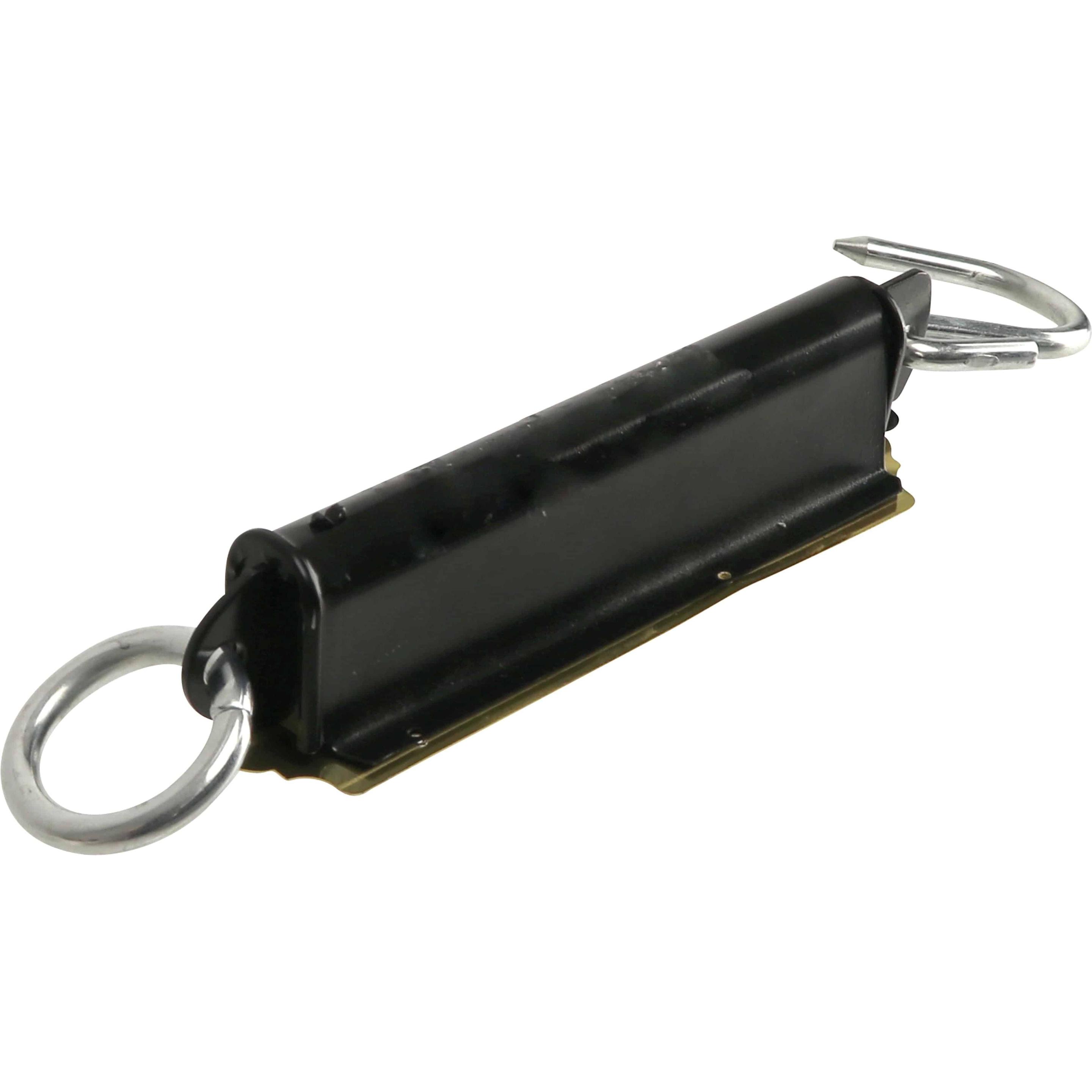 Masterproof, Feinwaage, Federwaage 0...100 kg