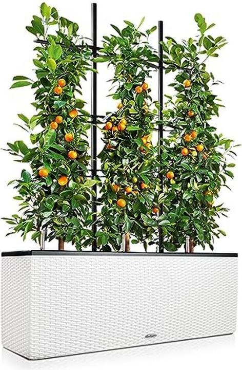 Produktbild Lechuza Trio Cottage (32 cm)