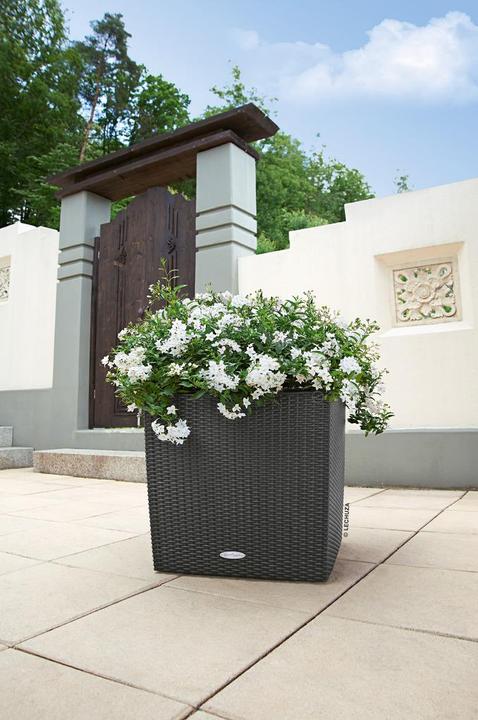 Image du produit Lechuza Cube Cottage (40 cm)