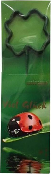 Actual product image Wondercandle Four-leaf clover