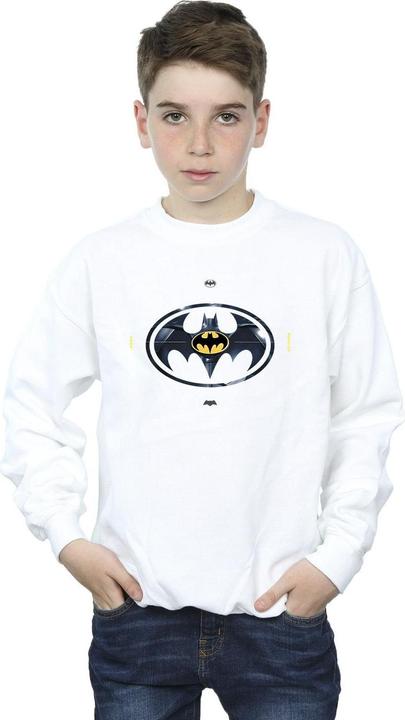 Produktbild The Flash Batman Metal Logo Sweatshirt Jungen (104)