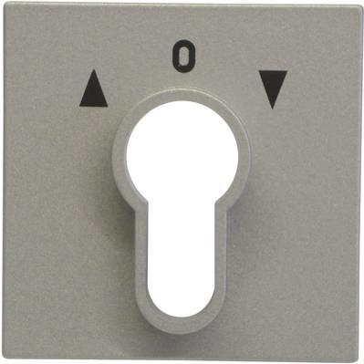Actual product image Gira Key switch/key push-button system 55 066426